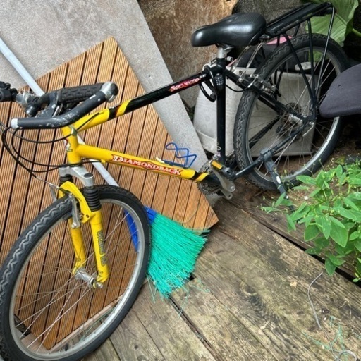自転車　大人用