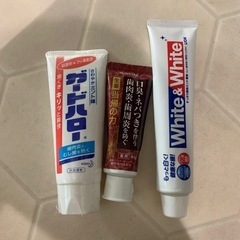 新品歯磨き粉セット