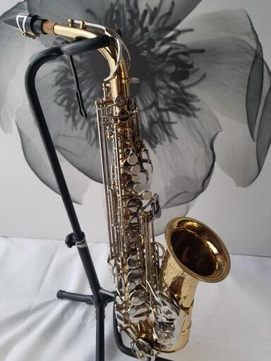 YANAGISAWA アルトサックス A-5 オールド