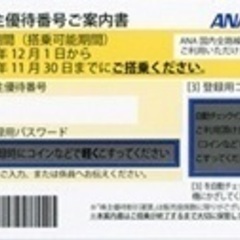 ANA株主優待券 2枚 青と黄色 有効期限11/30まで