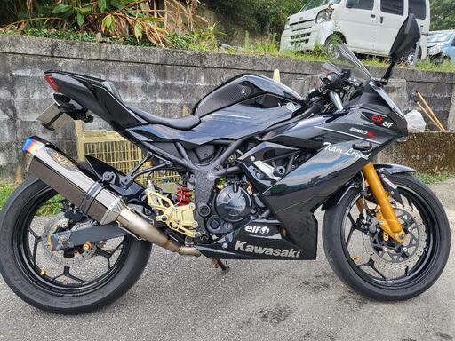 カワサキ Ninja250sl