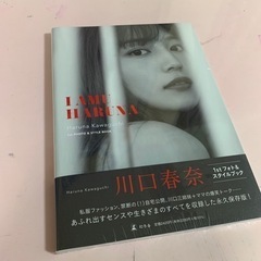 川口春奈 フォト＆スタイルブック  『I AMU HARUNA ...