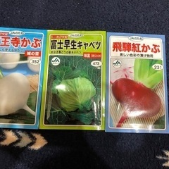 【ネット決済】野菜の種　現金取引