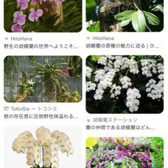 贈答等で不要になった植物、ください