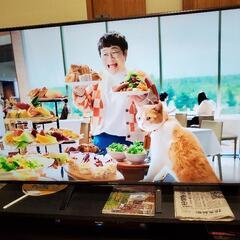 SONY 55型テレビ　