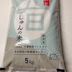 ②お米　5kg 千葉県産コシヒカリ
