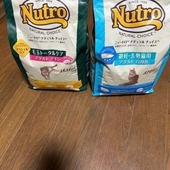 猫のご飯