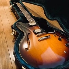 【ネット決済・配送可】☆Edwards E-SA-160LTS ...