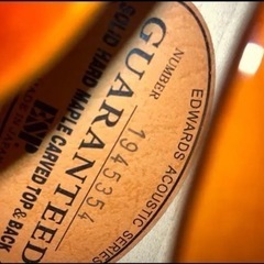 ☆Edwards E-SA-160LTS エドワーズ　セミアコ