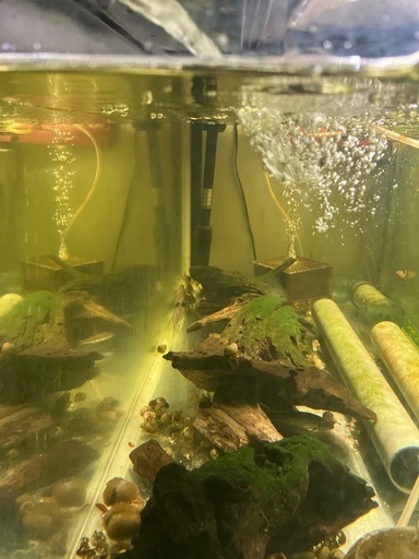 コトブキ120水槽、濾過器