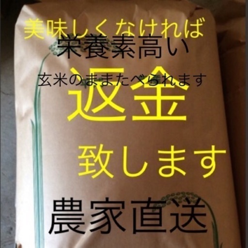 新米純こしひかり　こだわり栽培30㌔玄米