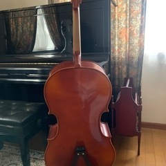 チェロ  ANTON PRELL(アントン・プレル)