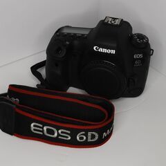 【ネット決済・配送可】Canon EOS 6D Mark II ...