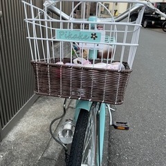 22インチ子供用自転車