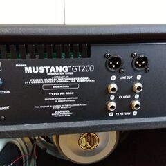 フェンダーのギターアンプMustang GT200です。特に野外で威力を発揮 