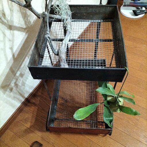 ガーデンステップカート　ワゴン　多肉棚　観葉植物棚 ガーデンステップカート ワゴン 多肉棚 観葉植物棚