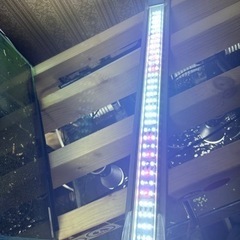 60cm水槽LED中古①