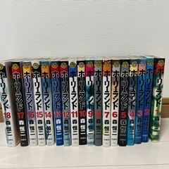 ホーリーランドの中古が安い 激安で譲ります 無料であげます ジモティー