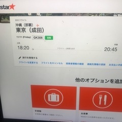 飛行機　チケット　11月11日（金）那覇-成田