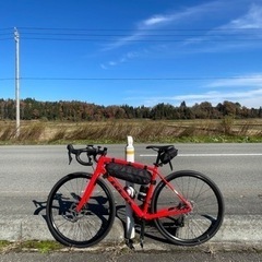 Trek Domane Al4 2021年モデル(サイズ54)