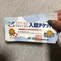 世界の大温泉 スパワールド　スパプー 入館チケット