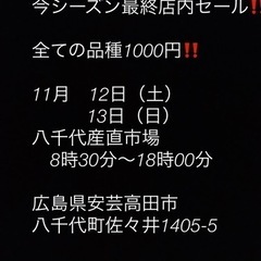 八千代産直市場　店内セール‼️【高級メダカ】