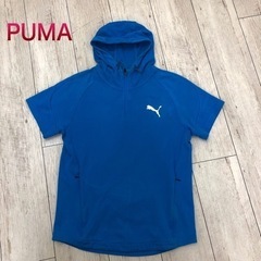 【PUMA】プーマ　Lサイズ　ブルー