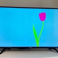 ▽ Hisense ハイビジョンLED液晶テレビ HJ43N3000 43型 ハイセンス 43V型 4K対応液晶テレビ HJ43N3000 : GBFT Online