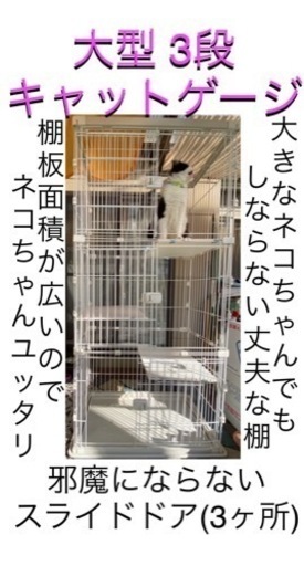 メンテ済み ドイツ製 カールヘフナー チェロ 4/4 虎杢 1980年頃 メンテ済み ドイツ製 カールヘフナー チェロ 4/4 虎杢 1980年頃