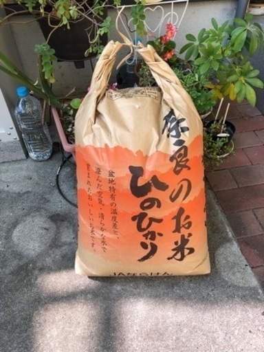 令和4年産ひのひかり30kg