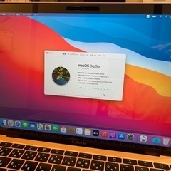 MacBookAir TouchID SSD:256GB CPU:Core i5