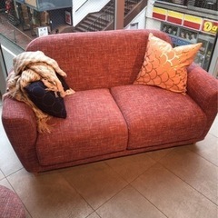 Francfranc ソファ　2人掛け　ヌボラ　ピンク