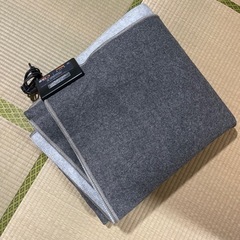 【ニトリ】ホットカーペット&カーペット3畳タイプ（235×195）