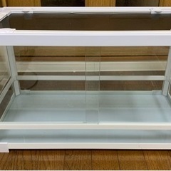 パンテオンの中古が安い!激安で譲ります・無料であげます|ジモティー