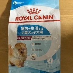 【未開封】ロイヤルカナン 子犬用 800g