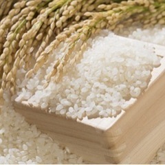 お米、30kg〜玄米