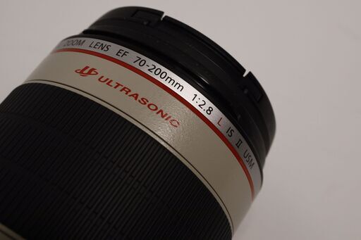 Canon EF70-200mm F2.8L IS II USM + EF 1.4x IIエクステンダー