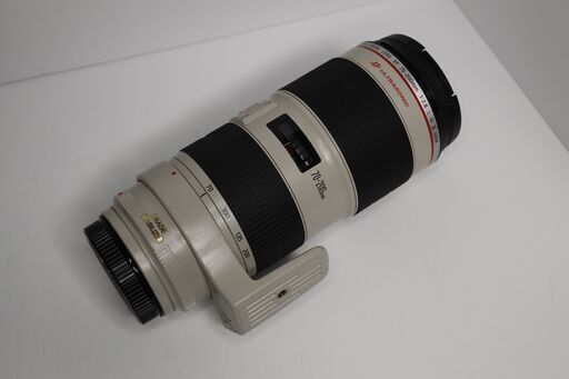 Canon EF70-200mm F2.8L IS II USM + EF 1.4x IIエクステンダー