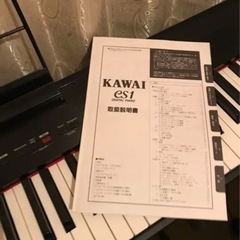 Kawai es-1