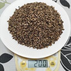 ダイシもち麦　200g