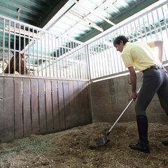 会員制乗馬クラブのお仕事です（馬房清掃）