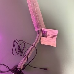 温室栽培ガラスケース