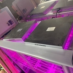 温室栽培ガラスケース