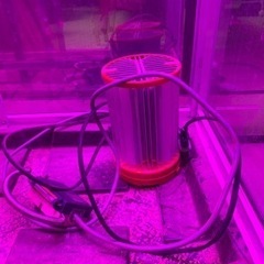 温室栽培ガラスケース