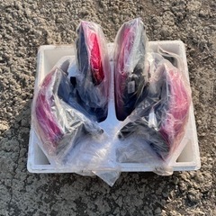 ランクル200 社外テールランプ