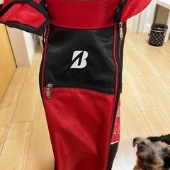 ゴルフセット お引き取り 決定しました。
