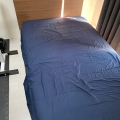 引き取りできる方限定～