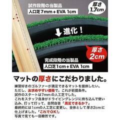 ■再値下げ■スポーニア ゴルフネット レギュラー ＋ゴルフマット