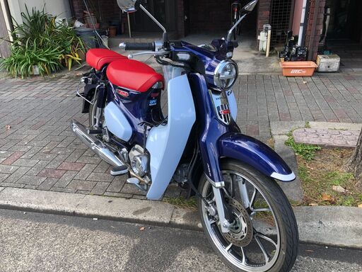 【ほぼ新車】HONDA カブ　CUB１２５　１年保証