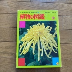 植物の図鑑